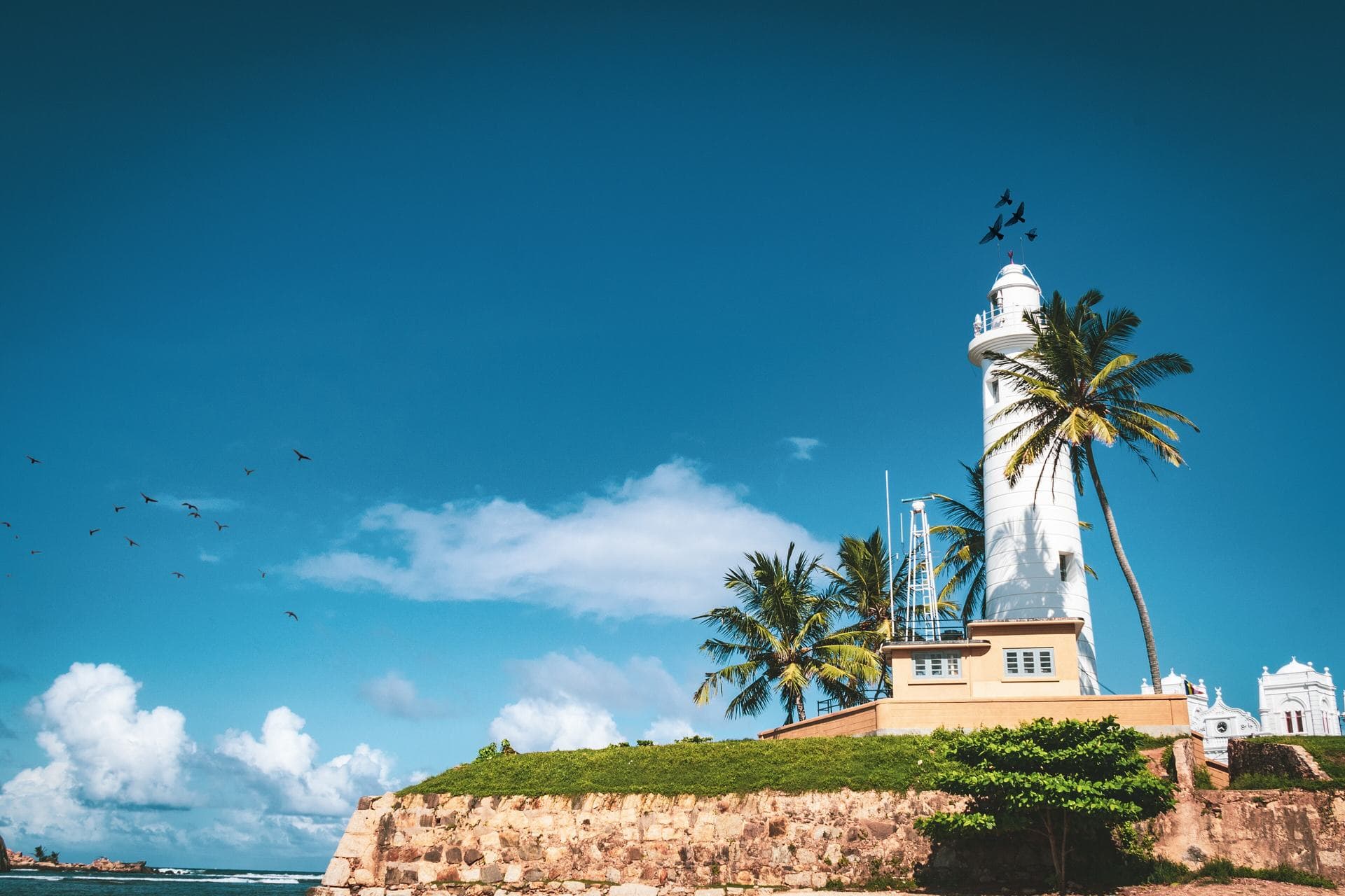 Galle Fort lighthouse and palm trees